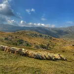 Konak Umoljani *