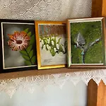Apartament Konak Umoljani Umoljani