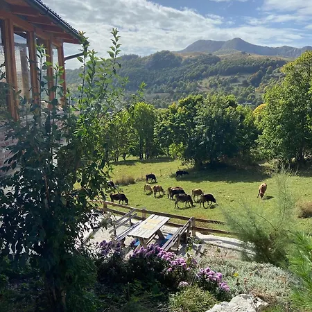 Appartamento Konak Umoljani Umoljani