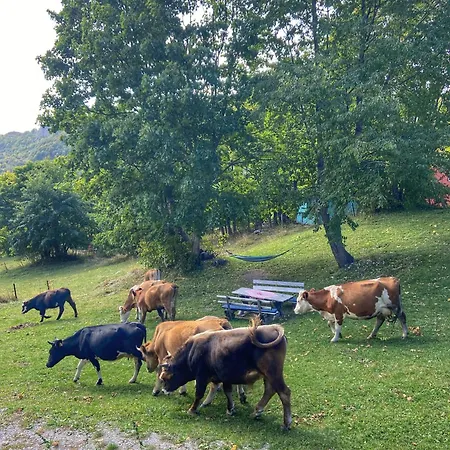 Konak Umoljani * Umoljani