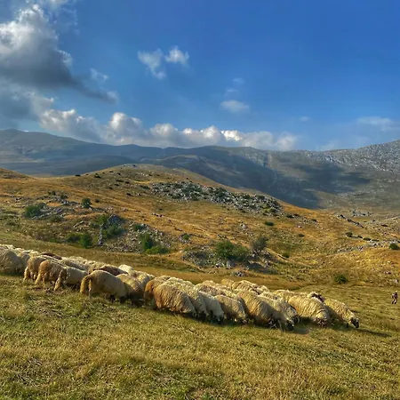 Konak Umoljani *