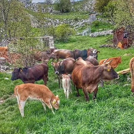 Konak Umoljani Umoljani